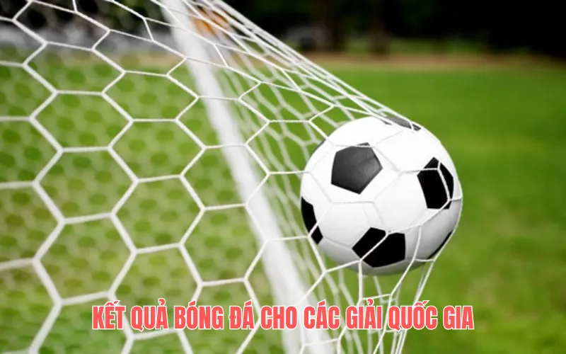 Livescore cho các giải quốc gia
