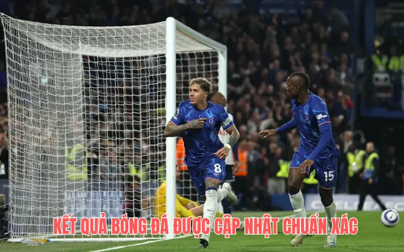 Livescore được cập nhật chuẩn xác